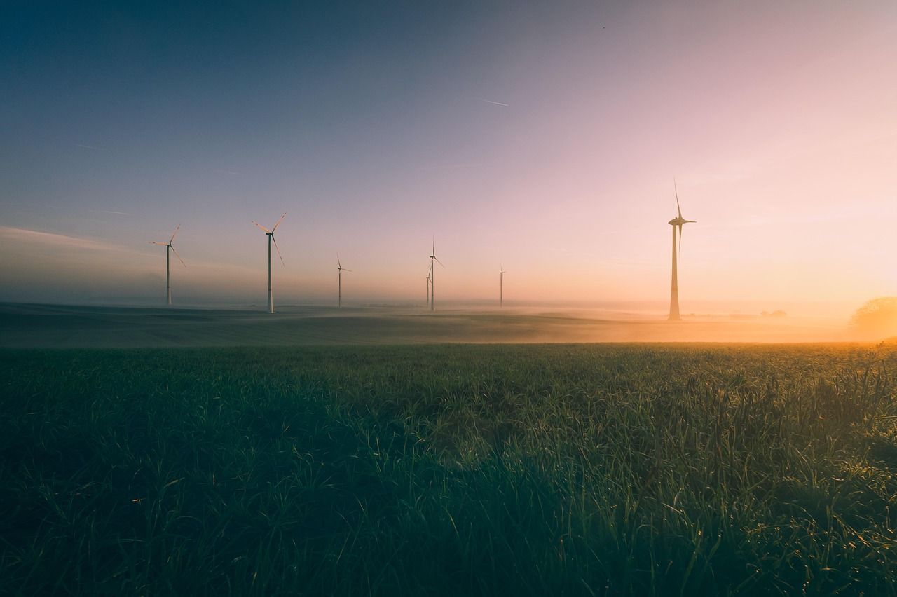 entdecken sie alles wissenswerte über die umwelt: aktuelle themen, nachhaltige lösungen und tipps zum schutz unseres planeten. erfahren sie mehr über umweltschutz, klimawandel und grüne innovationen.
